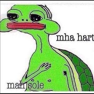 Meet your Posher, Luis